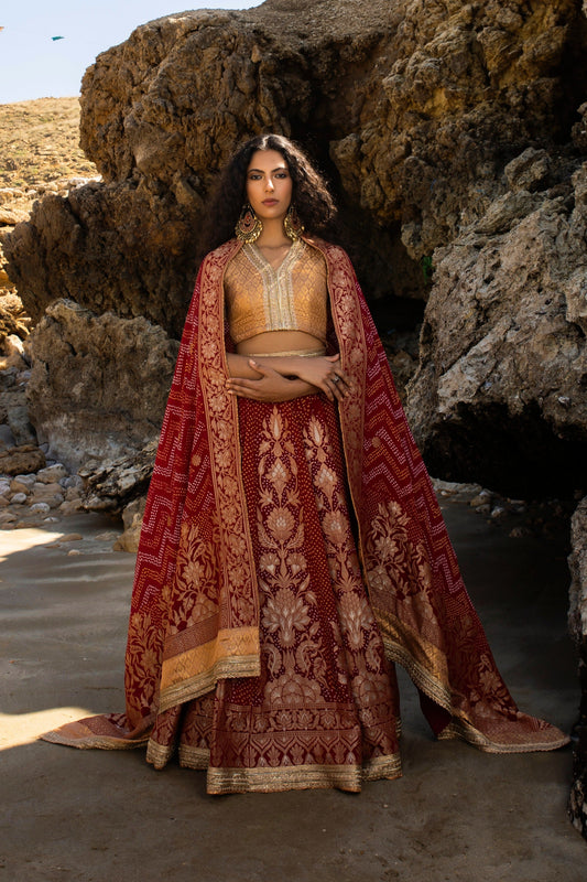 Maroon Lehnga Choli